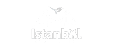 istanbul logo